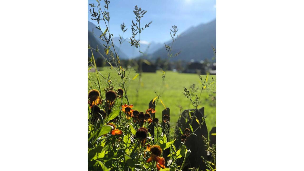 Apartament Gastehaus Haus Barbara Neustift im Stubaital Zewnętrze zdjęcie